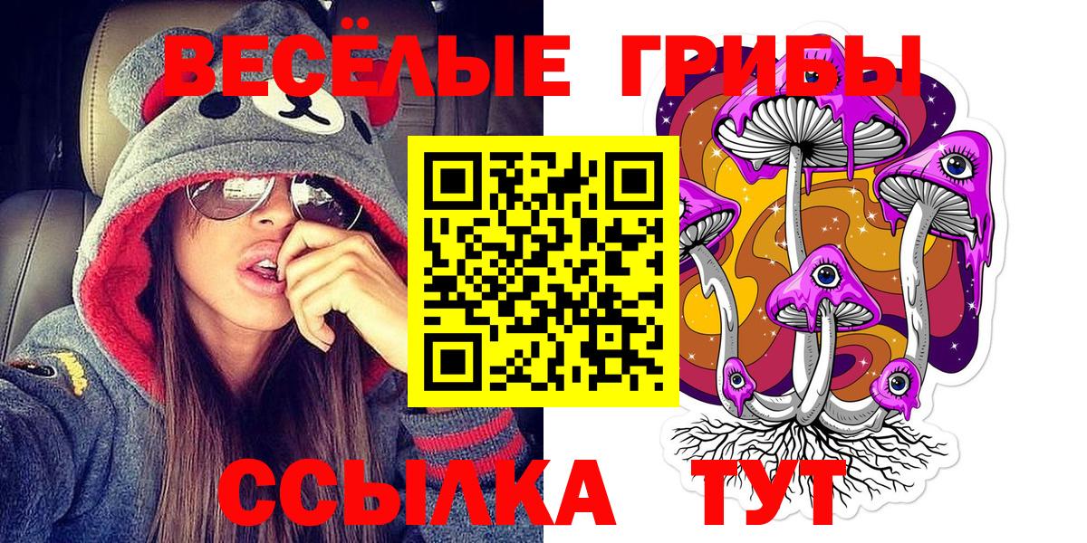 где продают   Вход с VPN  Псилоцибиновые грибы Cubensis  Кореновск  Псилоцибиновые грибы GOLDEN TEACHER 